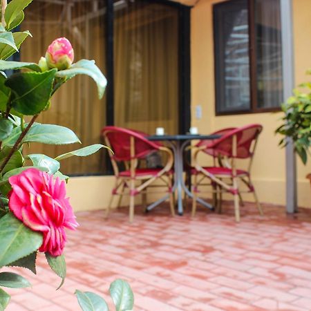 Lasha Apartment Tbilisi Exterior foto